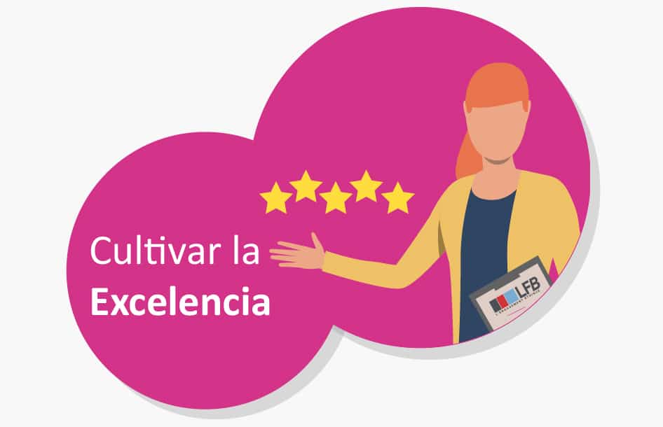 Excellencia Custom Post Valores