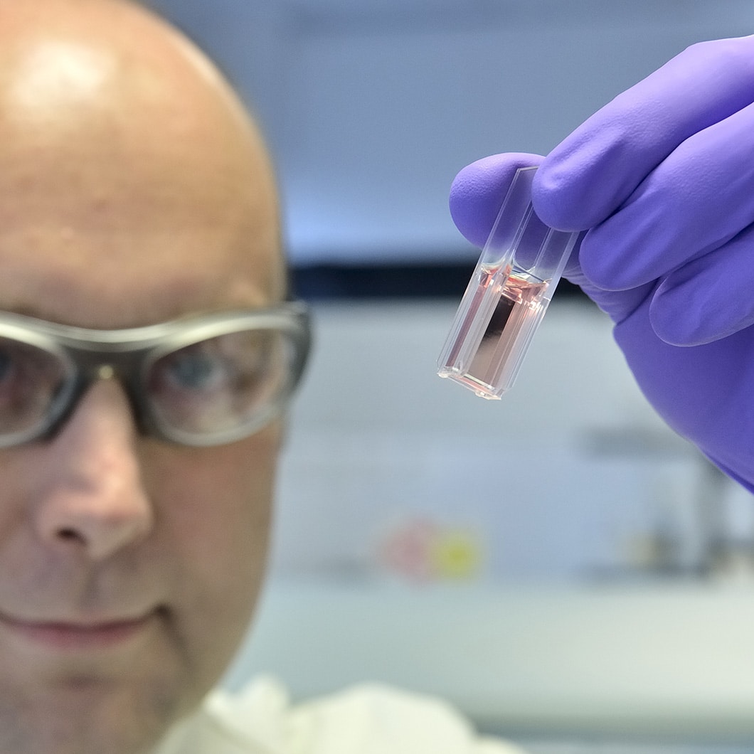 Header Imageheader Lfb Grant Resized