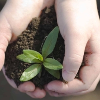 Header Imageheader Rubrique Agirsocieteresized