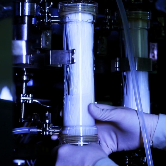 Header Imageheader Secubio Resized