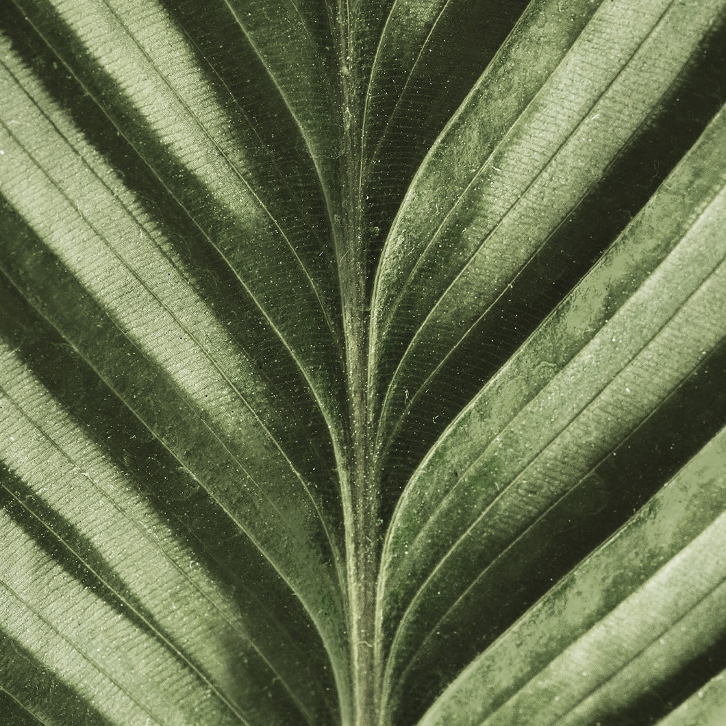 Notre Raisonetre En Action Header